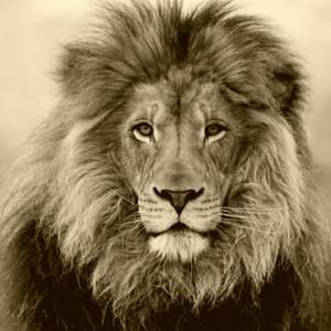 Meet your Posher, Curtis